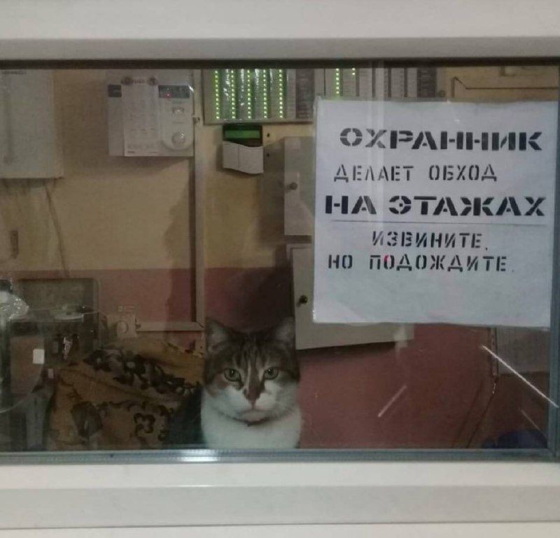 БХОД ТАЖАХ