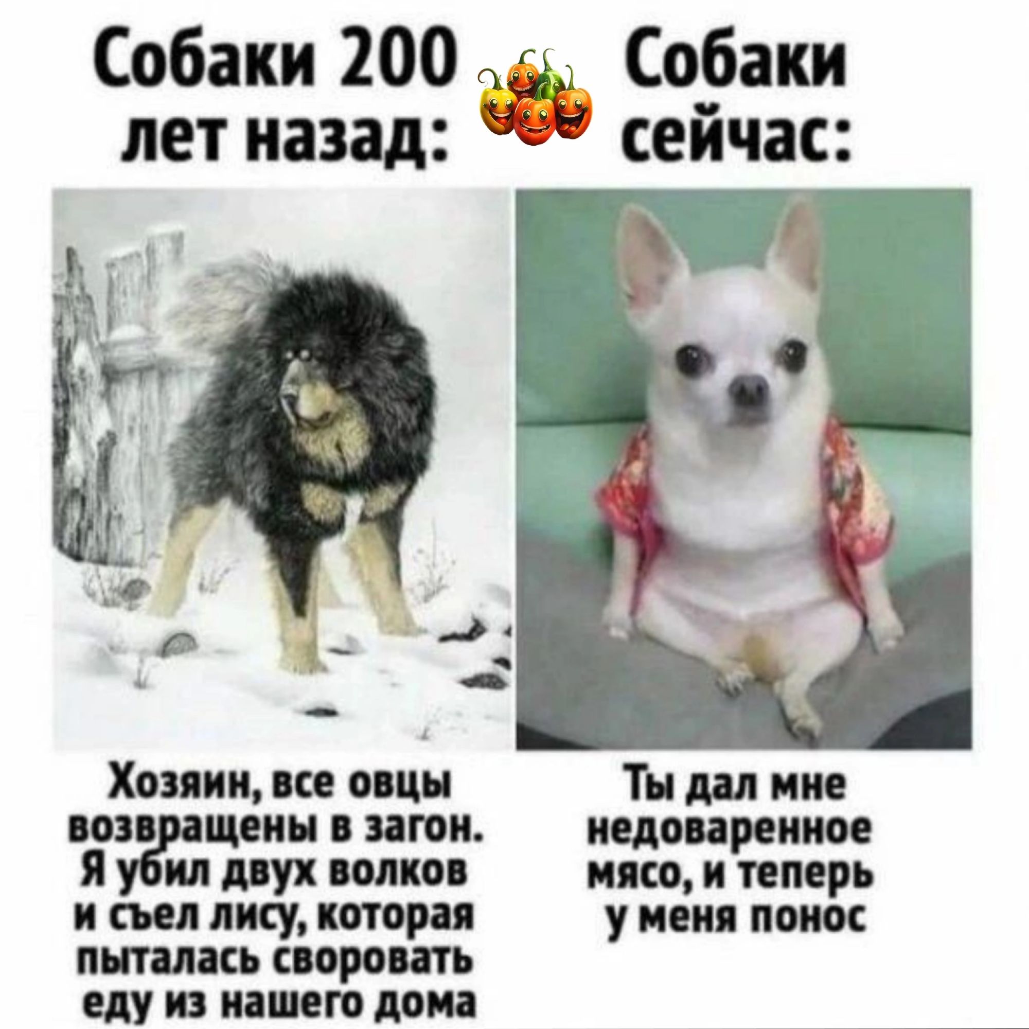 Собаки 200 _ Собаки лет назад сеичас Хозяин все овцы возвращены в загон недоваренное Я убил двух волков мясо и теперь и съел лису которая у меня понос пыталась своровать еду из нашего дома
