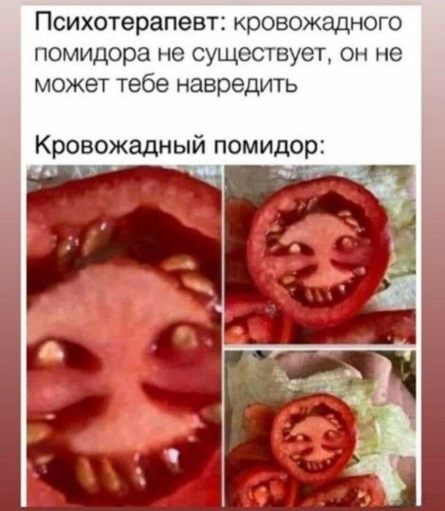 Психотерапевт кровожадного помидора не существует он не может тебе навредить Кровожадный помидор