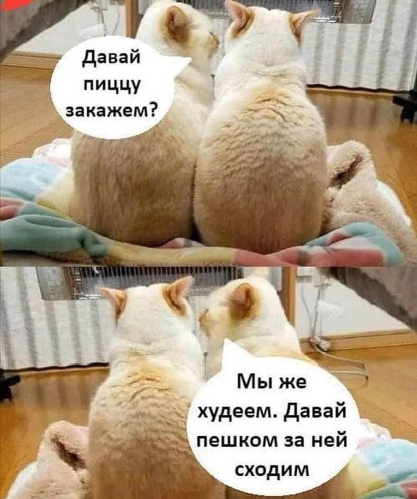 Давай пиццу худеем Давай ііЁ пешком за ней сходим