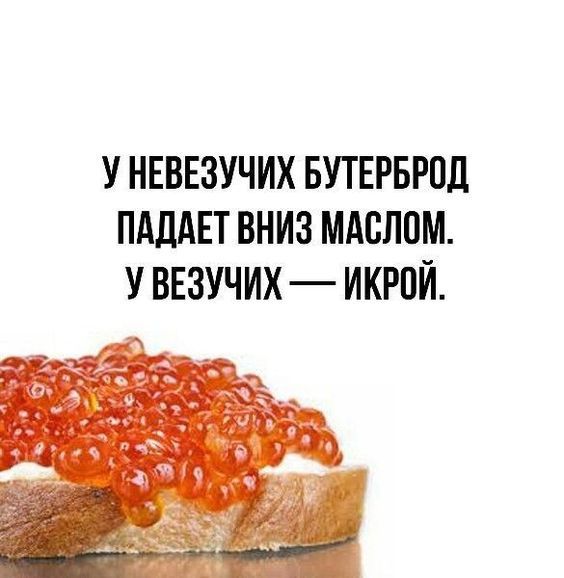У НЕВЕЗУЧИХ БУТЕРБРОД ПАДАЕТ ВНИЗ МАСЛОМ У ВЕЗУЧИХ ИКРОЙ