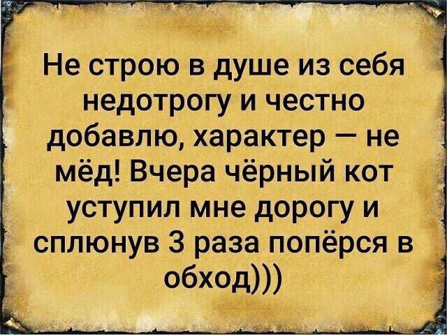 ва Не строю в душе из себя недотрогу и честно добавлю характер не мёд Вчера чёрный кот уступил мне дорогу и сплюнув 3 раза попёрся в _