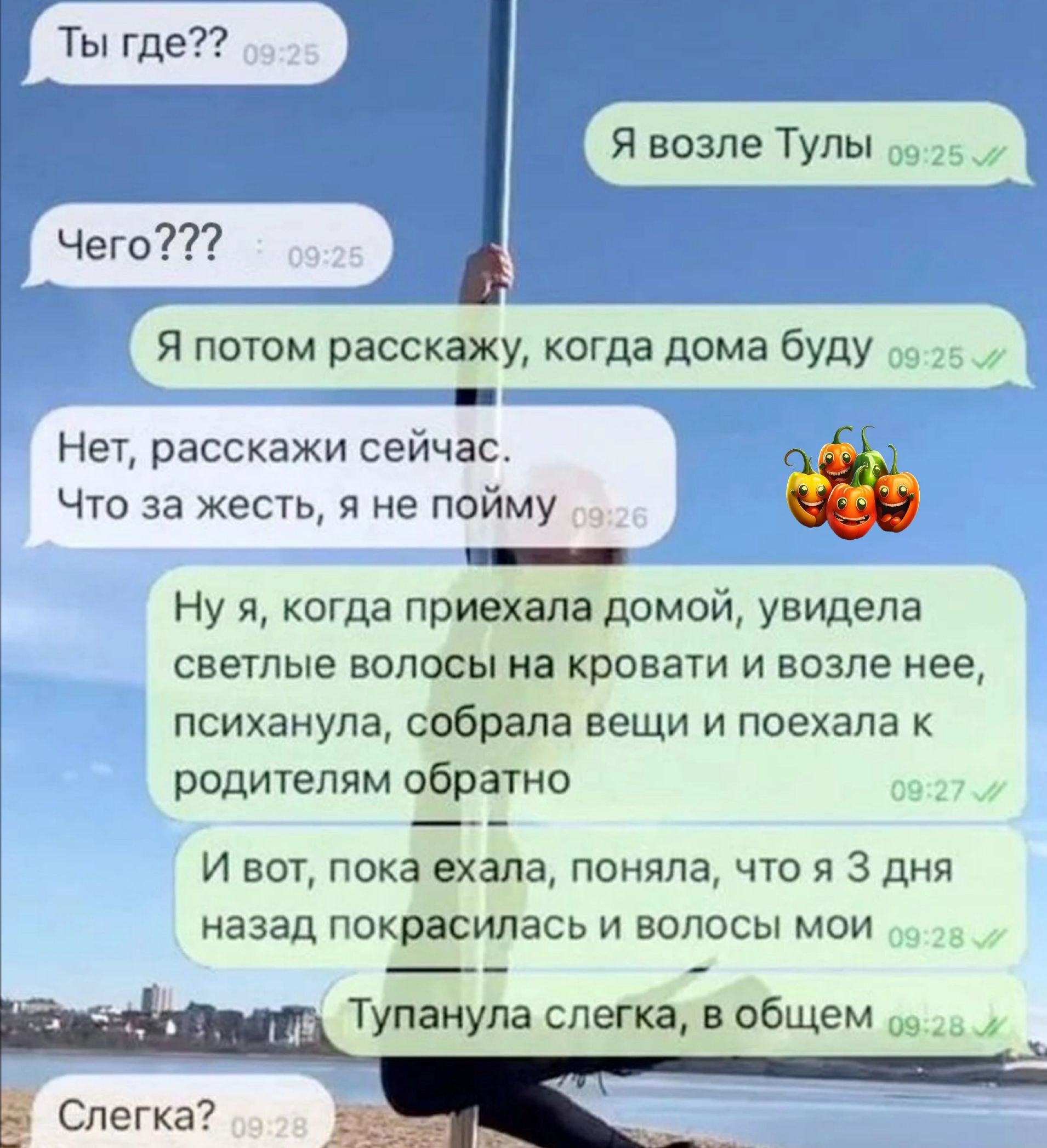 Ты где Я возле Тулы Чего Я потом расскажу когда дома буду Нет расскажи сейчас Что за жесть я не пойму эн Ну я когда приехала домой увидела светлые волосы на кровати и возле нее психанула собрала вещи и поехала к родителям обратно И вот пока ехала поняла что я 3 дня назад покрасилась и волосы мои Тупанула слегка в общем 923_ Е Слегка