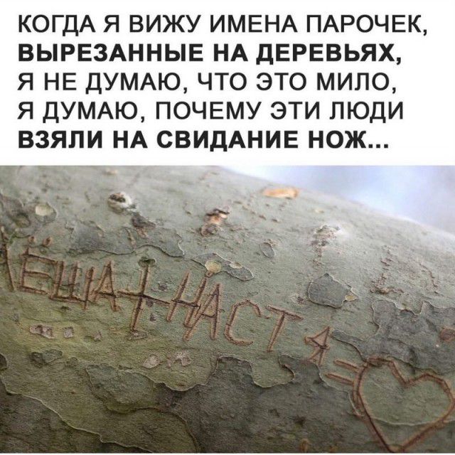 КОГДА Я ВИЖУ ИМЕНА ПАРОЧЕК ВЫРЕЗАННЫЕ НА ДЕРЕВЬЯХ Я НЕ ДУМАЮ ЧТО ЭТО МИЛО Я ДУМАЮ ПОЧЕМУ ЭТИ ЛЮДИ ВЗЯЛИ НА СВИДАНИЕ НОЖ