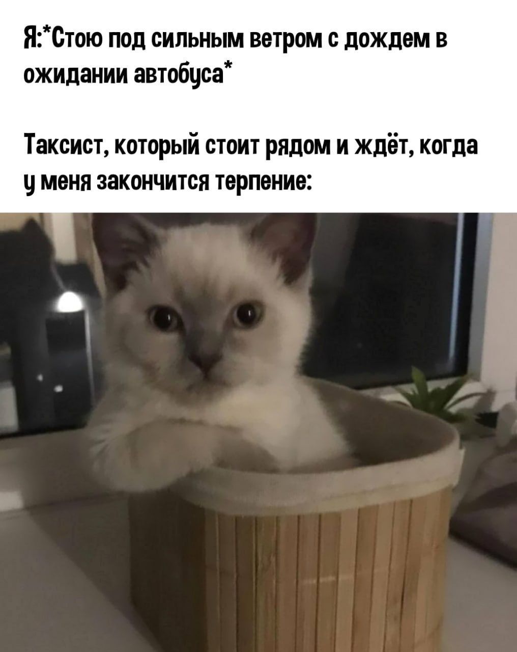 ЯСтою под сильным ветром с дождем в ожидании автобуса Таксист который стоит рядом и ждёт когда уменя закончится терпение