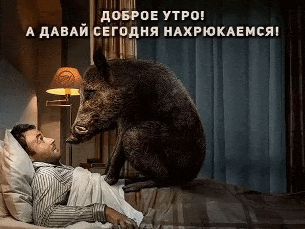 Ща Ц 3 дОёРОЕ УТРО А ДАВАЙ СЕГОДНЯ НАХРЮКАЕМСЯ 11 И