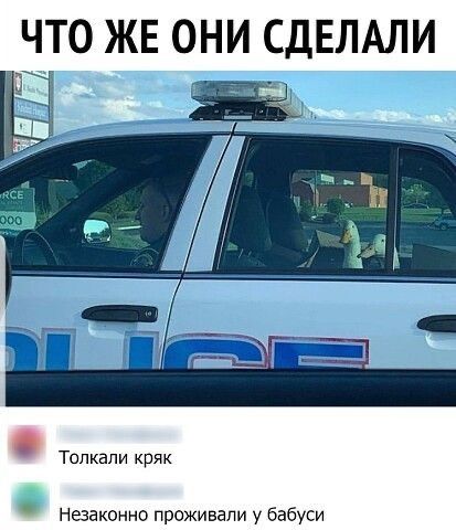 Толкали кряк Незаконно проживали у бабуси