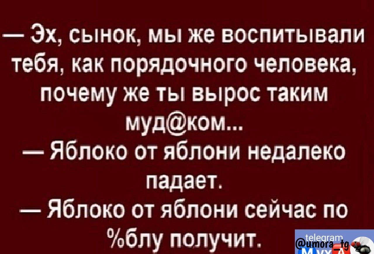 Эх сынок мы же воспитывали тебя как порядочного человека почему же ты вырос таким мудком Яблоко от яблони недалеко падает Яблоко от яблони сейчас по блу получит Р