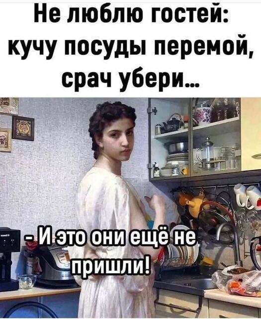 Не люблю гостей кучу посуды перемой срач убери