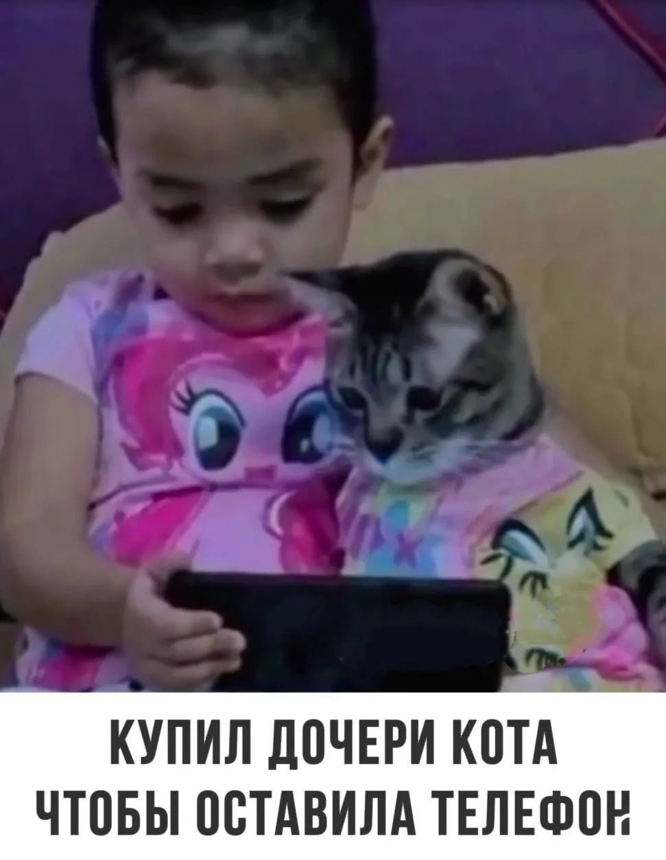 С КУПИЛ ДОЧЕРИ КОТА ЧТОБЫ ОСТАВИЛА ТЕЛЕФОК