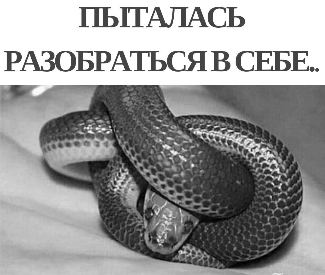 ПЫТАЛАСЬ РАЗОБРАТЬСЯ В СЕБЕ