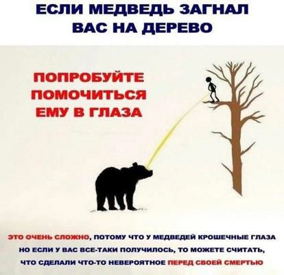ЕСЛИ МЕДВЕДЬ ЗАГНАЛ ВАС НА ДЕРЕВО это очень сложно ПОТОМУ ЧТО У МЕДВЕДЕЙ КРОШЕЧНЫЕ ГЛАЗА о Если у Влс ВсЕ ТАКИ ПОЛУЧИЛОСЬ ТО МОЖЕТЕ СЧИТАТЬ что сделали что то нЕВЕРОЯТНОЕ ПЕРЕД СВОЕЙ СМЕРТЬЮ