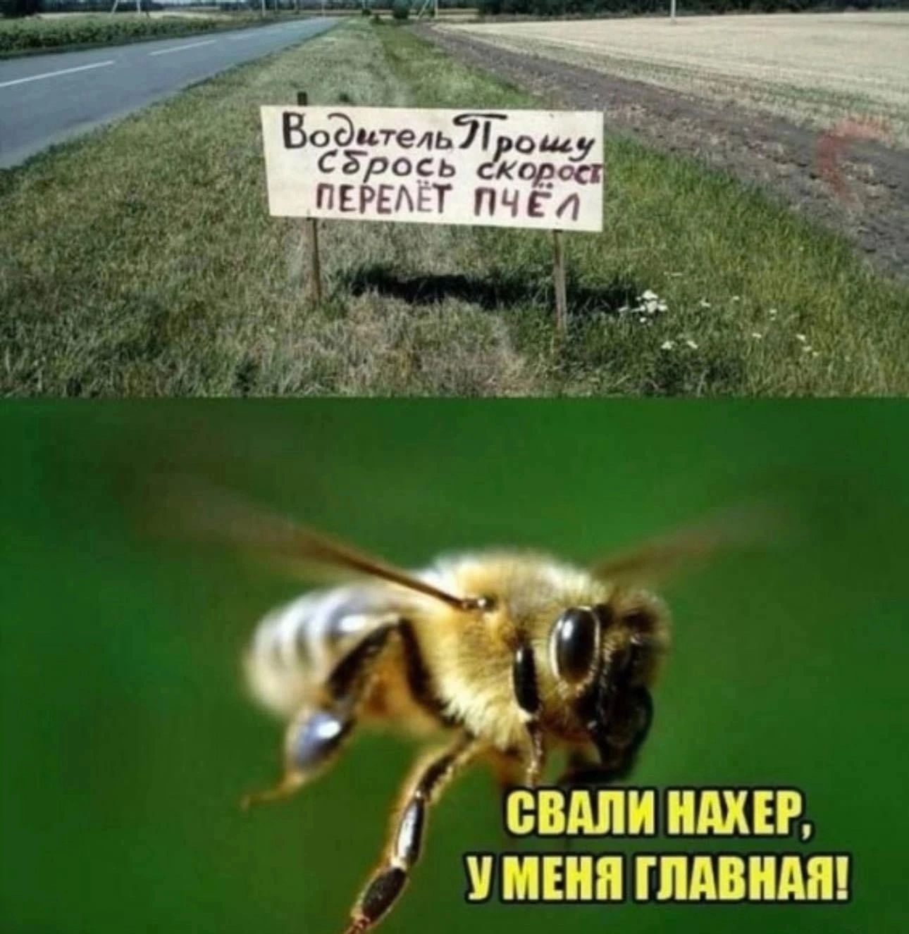 СВАЛИ НАХЕР У МЕНЯ ГЛАВНАЯ