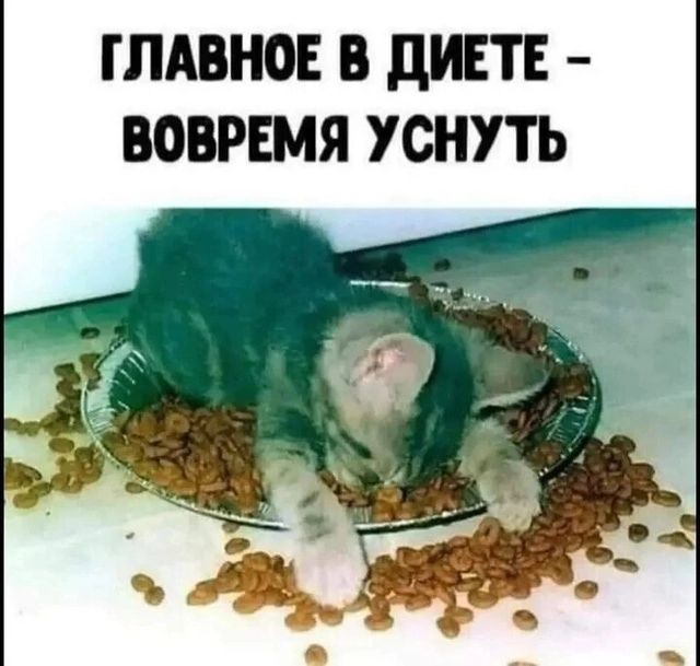 ГЛАВНОЕ В ДИЕТЕ ВОВРЕМЯ УСНУТЬ