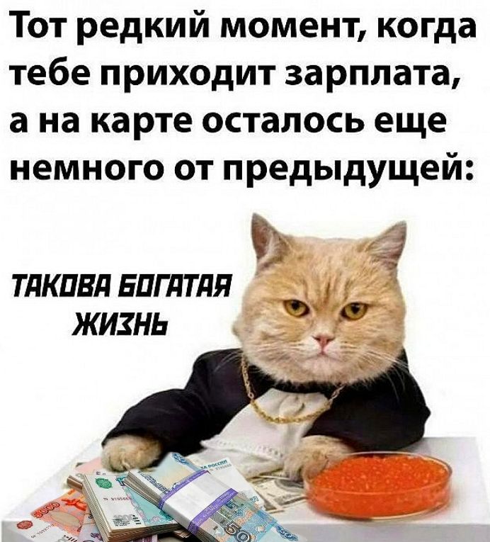 Тот редкий момент когда тебе приходит зарплата а на карте осталось еще немного от предыдущей ТАКОВА БОГАТАЯ ЖИХНЬ ой й
