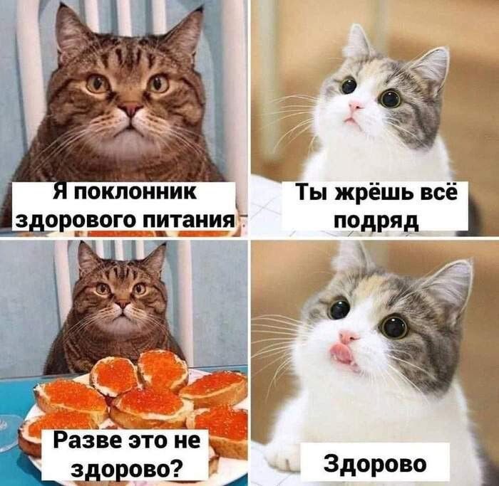 здорового ПТЗИП подряд Разве это не здорово 7 д Здорово