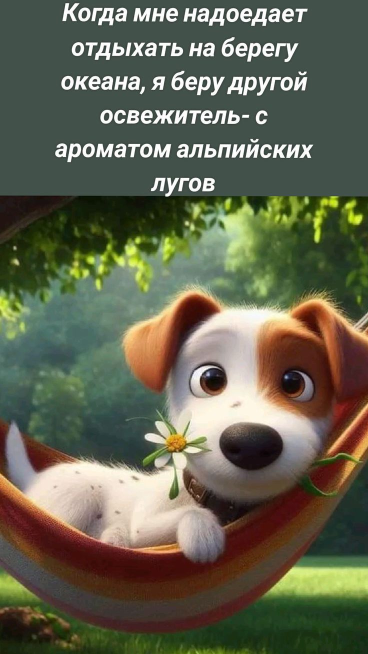Когда мне надоедает отдыхать на берегу океана я беру другой освежитель с ароматом альпийских Зрае