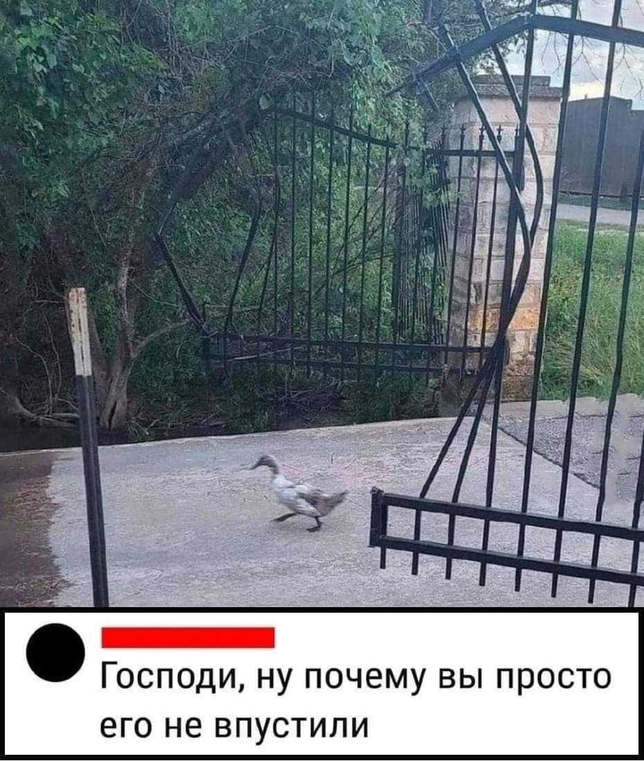 у почему вы просто его не впустили