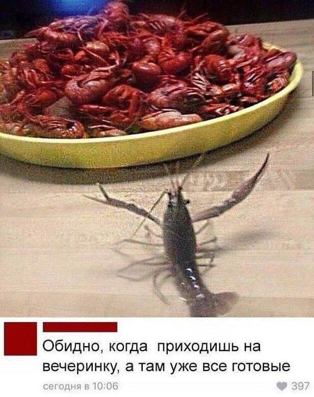 Обидно когда приходишь на вечеринку а там уже все готовые