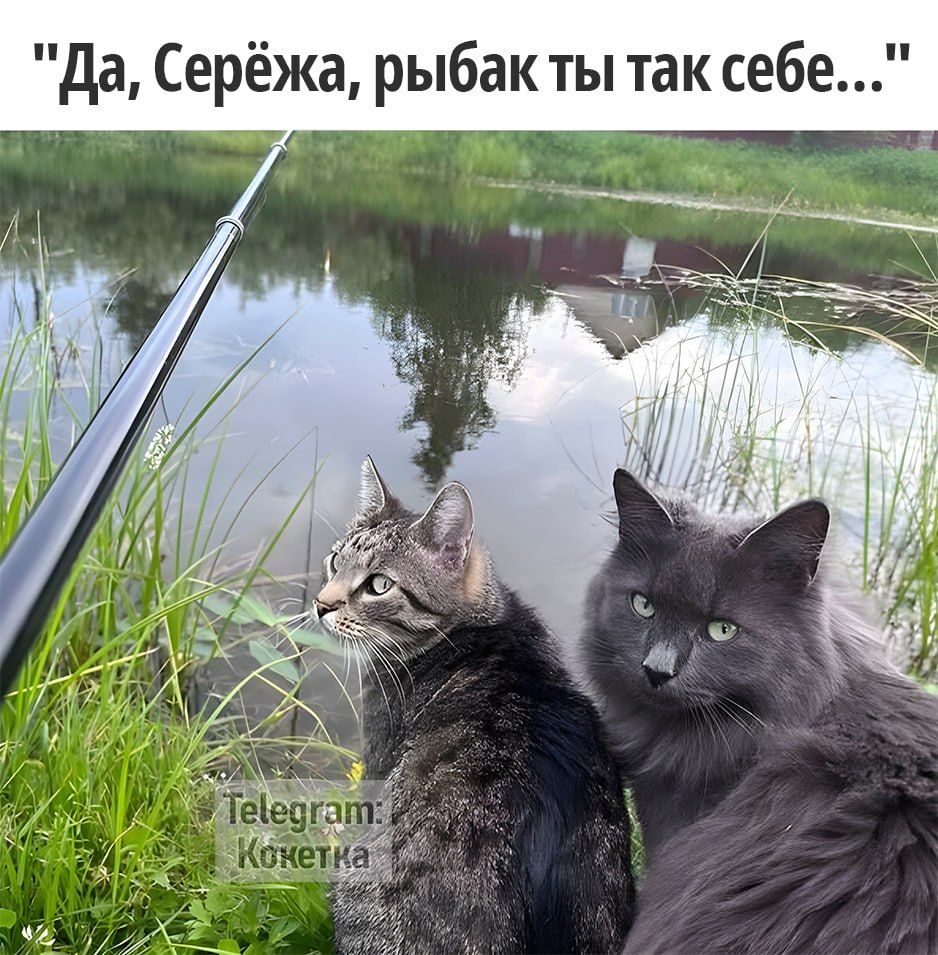 Да Серёжа рыбак ты так себе