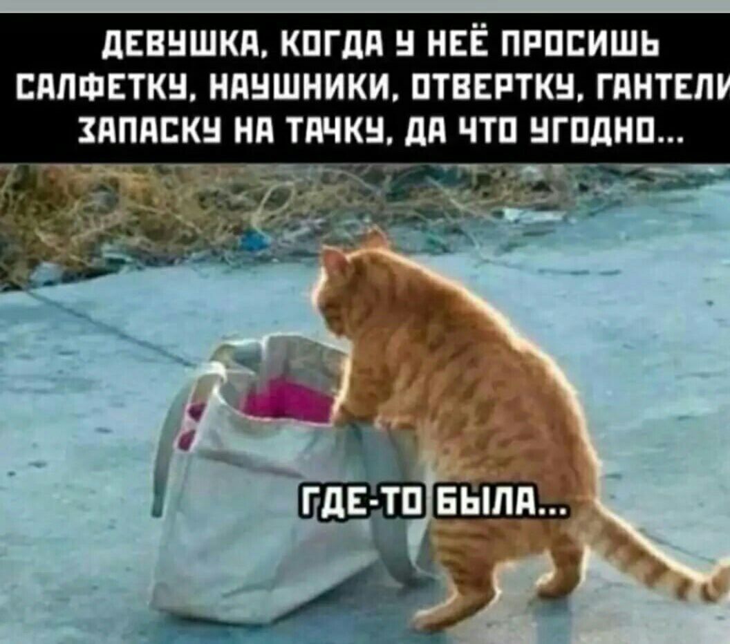 ДЕВУШКА КОГДА Ч НЕЁ ПРОСИШЬ САЛФЕТКУ НАУШНИКИ ОТВЕРТКУ ГАНТЕЛ ХАПАСКУ НА ТАЧКУ ДА ЧТО УГОДНО е е