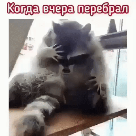 Когда ра рал а