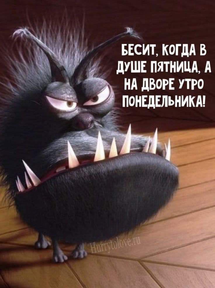 БЕСИТ КОГДА В ДУШЕ ПЯТНИЦА А НА ДВОРЕ УТРО ПОНЕДЕЛЬНИКА