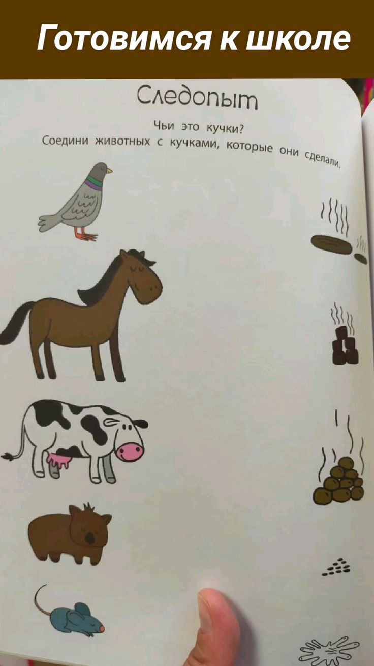 3 З х 5 х 5
