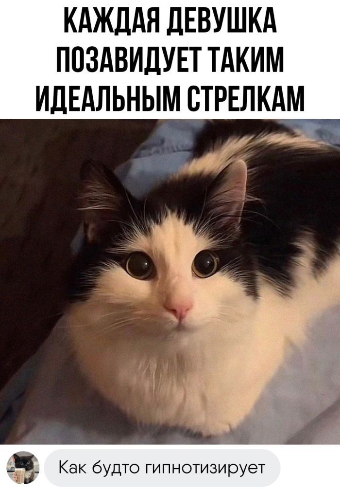 КАЖДАЯ ДЕВУШКА ПОЗАВИДУЕТ ТАКИМ ИДЕАЛЬНЫМ СТРЕЛКАМ 1 5 Как будто гипнотизирует