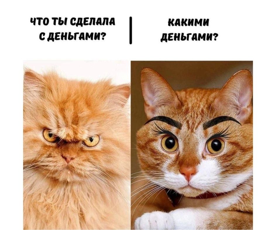 что ТЫ СДЕЛАЛА КаКИМИ ДЕНЬГАМИ С ДЕНЬГАМИ