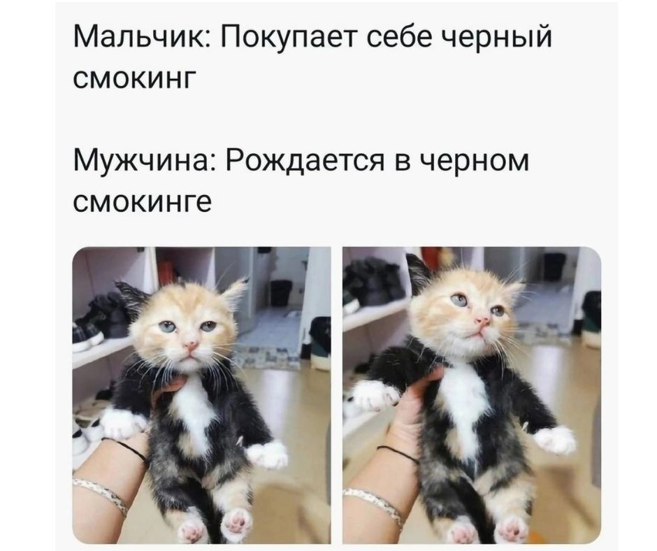 Мальчик Покупает себе черный СмОКИНГ Мужчина Рождается в черном смокинге