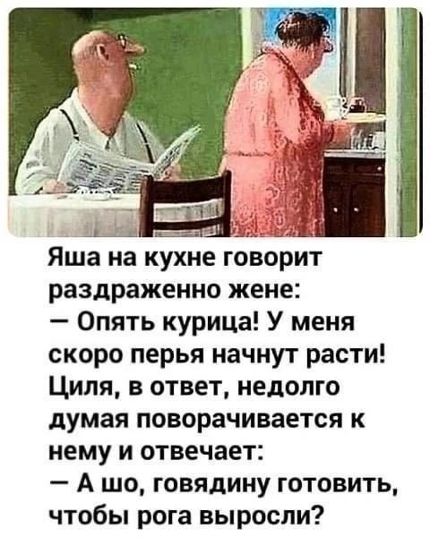 АВЕ ЗЕЙ Яша на кухне говорит раздраженно жене Опять курица У меня скоро перья начнут расти Циля в ответ недолго думая поворачивается к нему и отвечает Ашо говядину готовить чтобы рога выросли
