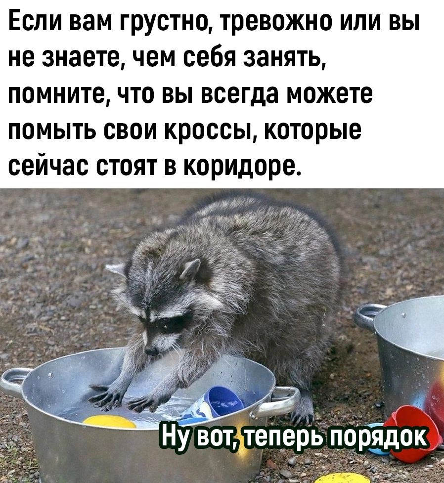 Если вам грустно тревожно или вы не знаете чем себя занять помните что вы всегда можете помыть свои кроссы которые сейчас стоят в коридоре ба Нутіюперь порідоё