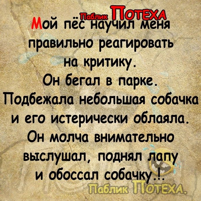 мой пга оТ правильно реагировать На_критику Он бегол в парке Подбежала небольшая собачка и его истерически облаяла Он молча внимательно выслушал поднял лапу и обоссал собач Нк