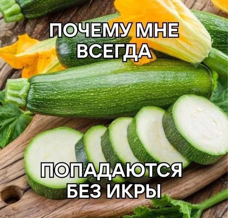 ППАДТСЯ БЕЗИКРЫ м
