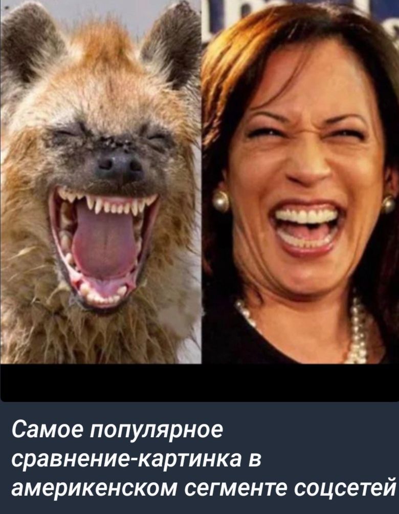 Самое популярное сравнение картинка в америкенском сегменте соцсетей