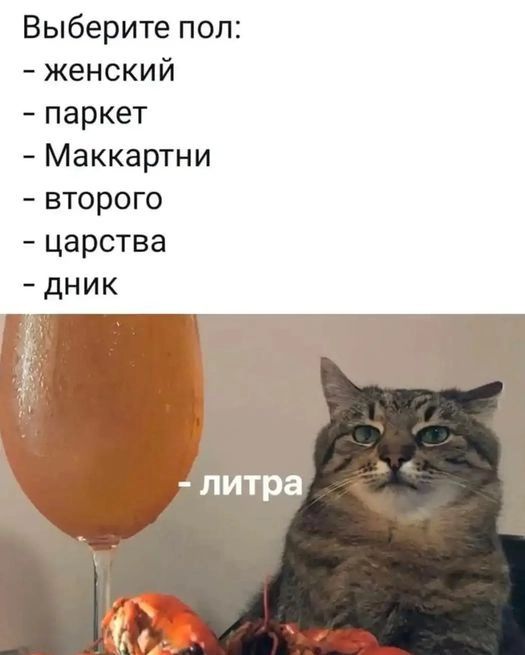 Выберите пол женский паркет Маккартни второго царства дник литра