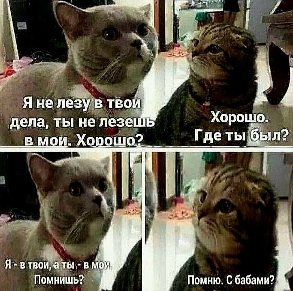 дела ты не лезе в мои Хорошо2 Помнишь Ь Помню С бабами