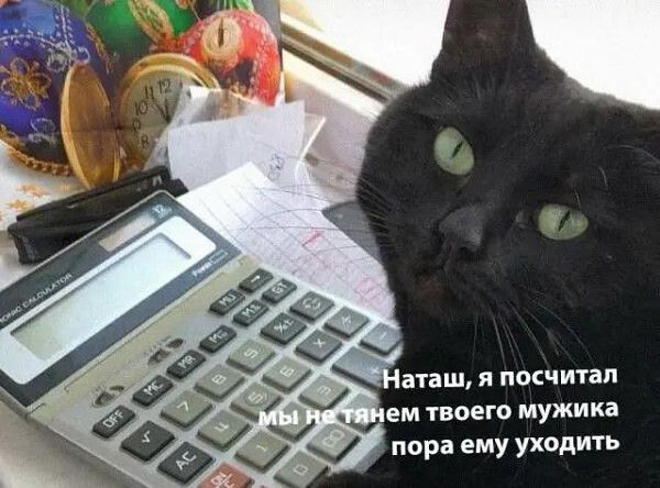 аташ я посчитал ем твоего мужика