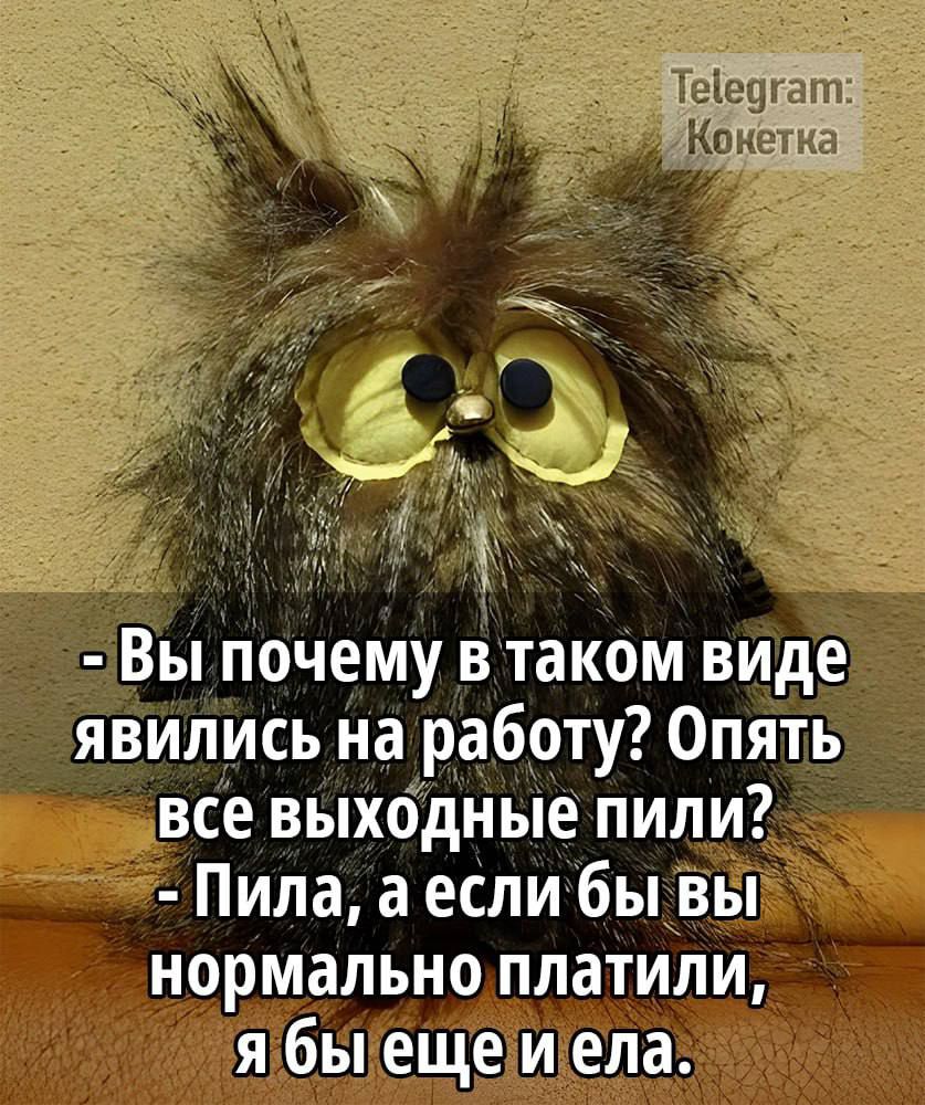 Вы почему в таком виде явились на работу Опять все выходные пили Пила а если бы вы нормально платили я быеще иела