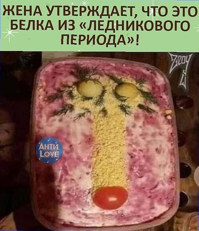 ЖЕНА УТВЕРЖДАЕТ ЧТО ЭТО БЕЛКА ИЗ ЛЕДНИКОВОГО ПЕРИОДА