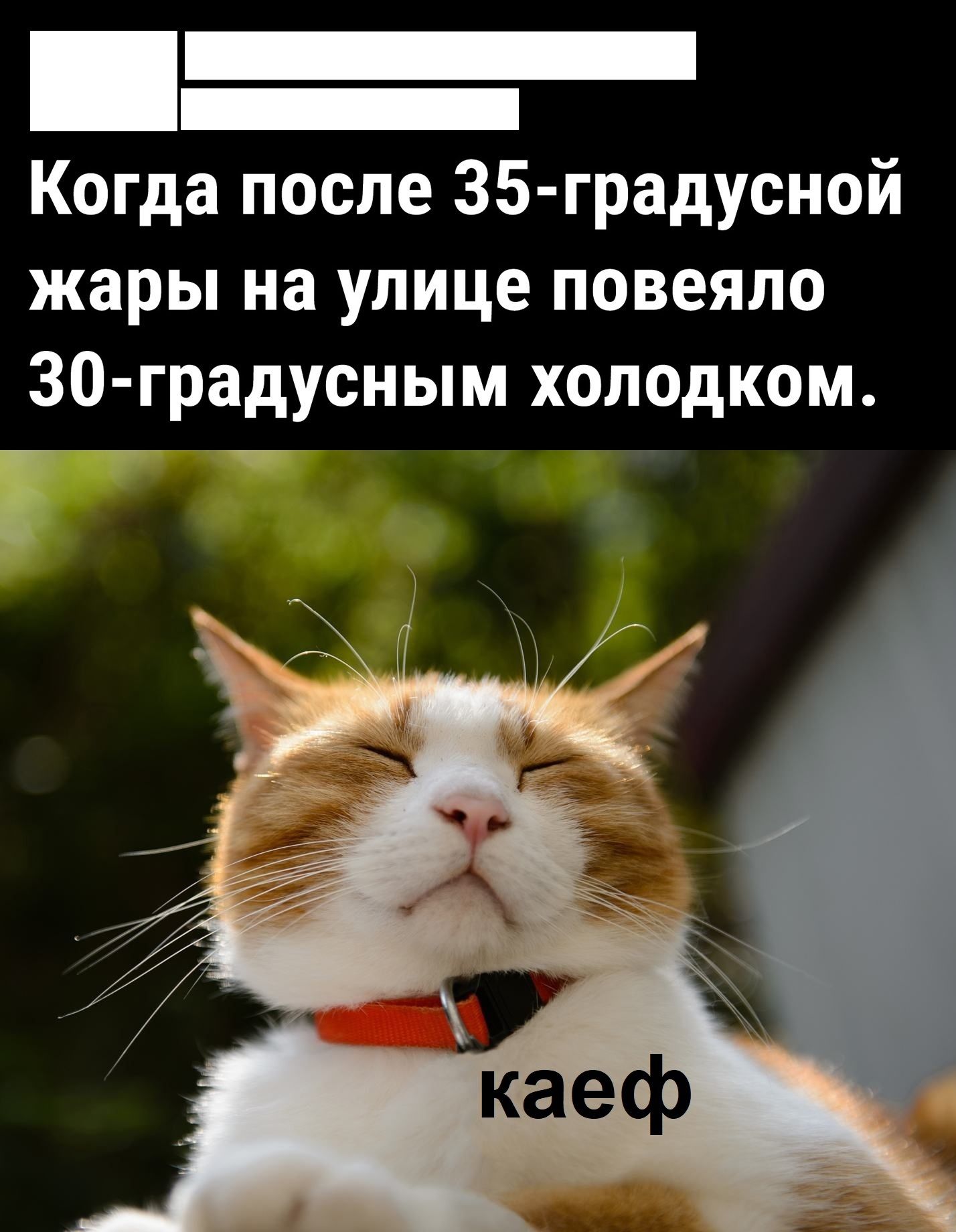 Когда после 35 градусной жары на улице повеяло 30 градусным холодком шЕ