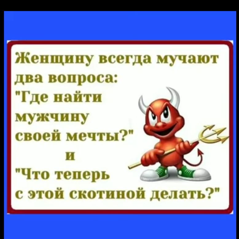 Женщину всегда мучают два вопроса Где найти мужчину своей мечты и Что теперь и с этой скотиной делать