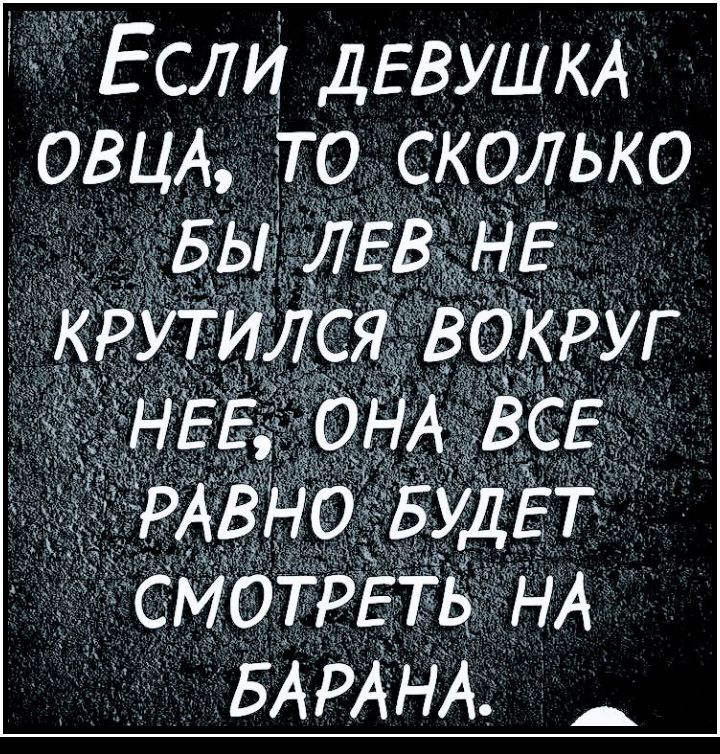 Если ДЕВУШКА ОВЦА ТО СКОЛЬКо