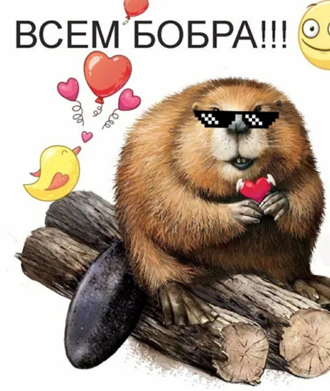 ВСЕМ БОБРА