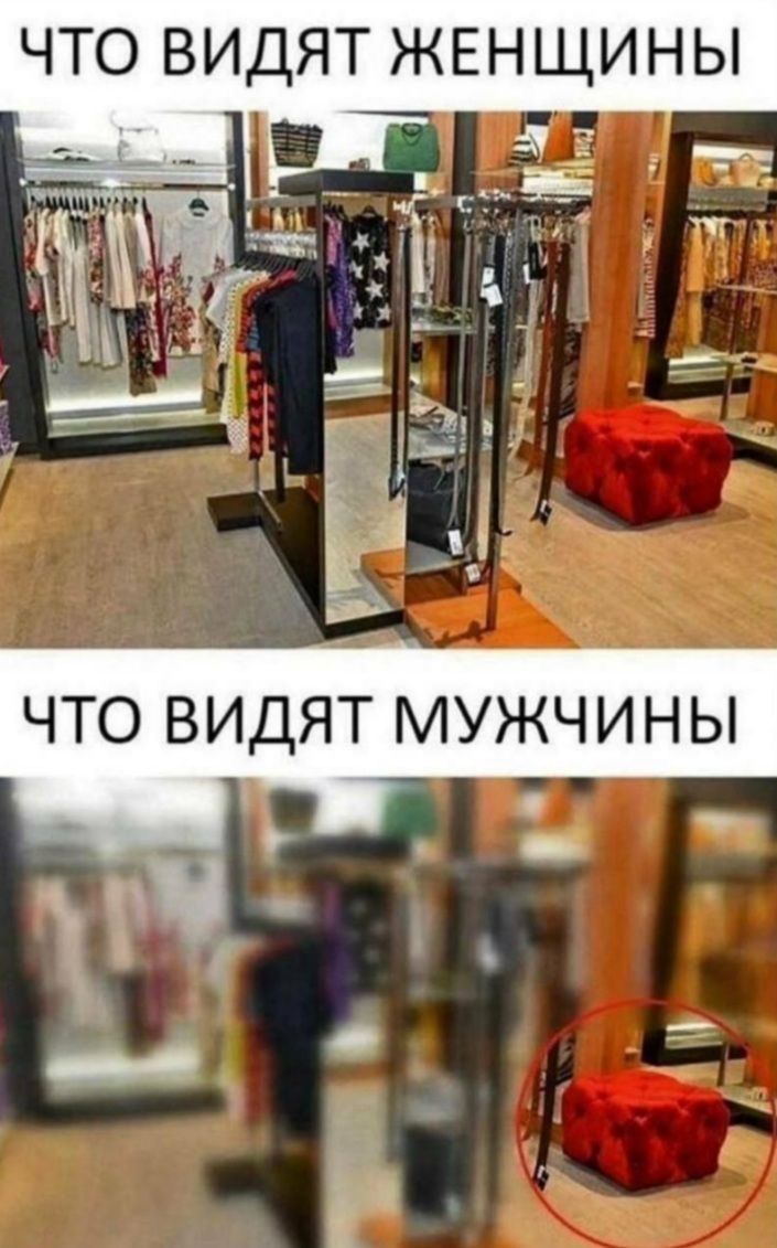 ЧТО ВИДЯТ ЖЕНЩИНЫ