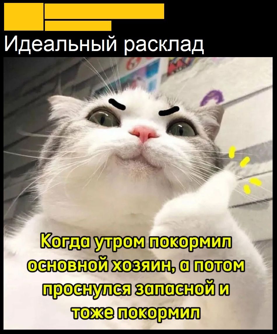 Идеапьныи расклад 090091 54е Ура пуеллеГО Проснупся апаснойи
