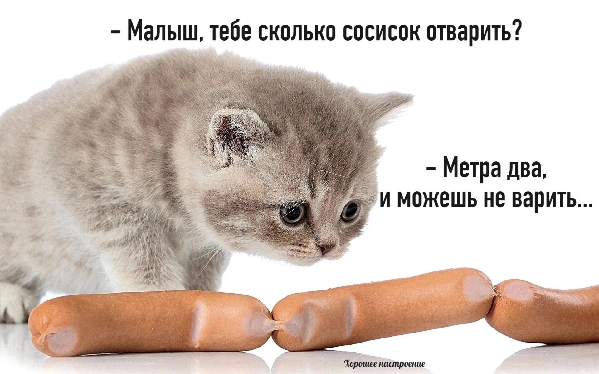 Малыш тебе сколько сосисок отварить Метра два _ и можешь не варить