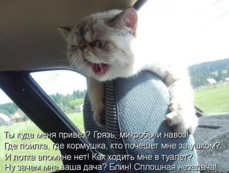 Где поил И лотка впом Ва э нет к ходить мне в туалЁ сем мна ЕЕ ТЕЛЕа ЛИе е Е е