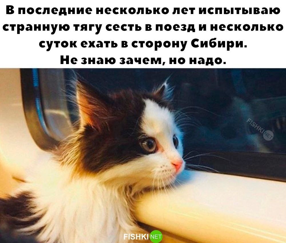 В последние несколько лет испытываю странную тягу сесть в поезд и несколько суток ехать в сторону Сибири Незнаю зачем но надо